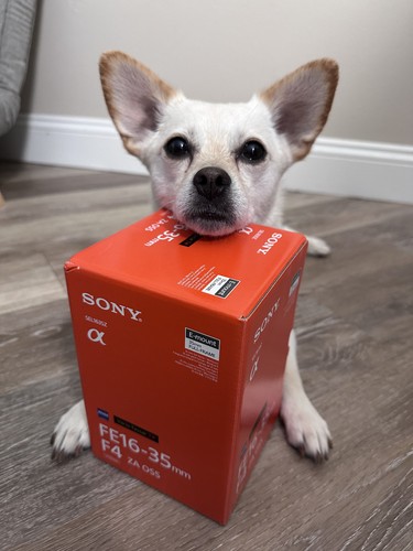 Sony vario tessar t - sony, mm