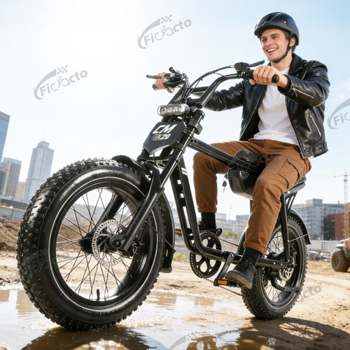 Bicicletta elettrica - , 20