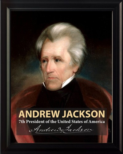 Andrew jackson presidente - jackson, 7°