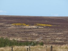 Photo 6x4 moorland - moorland, above