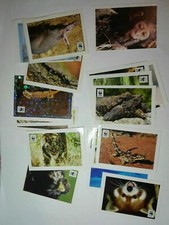 Lotto 29 Figurine animali Coop