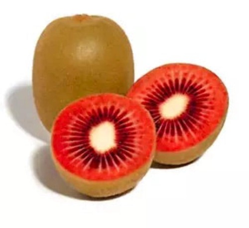 Actinidia arguta - , (red