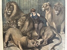 1895 CIRQUE - DOMPTEUSE - LA