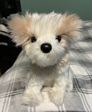 RARO/RITIRATO Douglas Cuddle