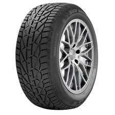 Gomme Invernali Riken 185/60