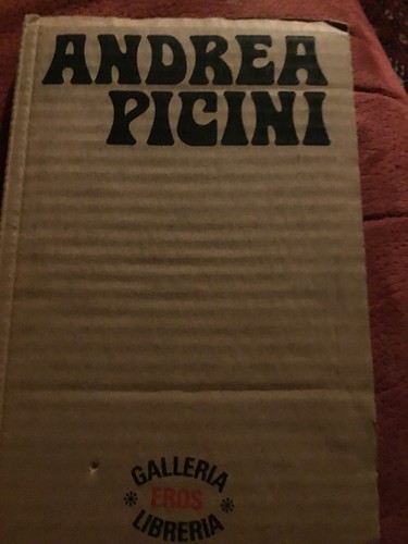 Andrea picini galleria eros - picini,