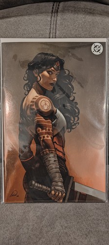 Absolute wonder woman - #19, ivan