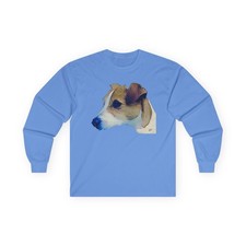 Parson Jack Russell Terrier