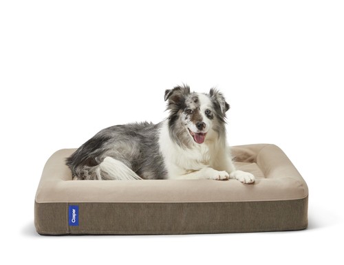 Casper letto per cani - per, in