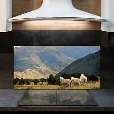 Pannello cucina in vetro con