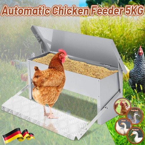 Mangiatoia automatica per