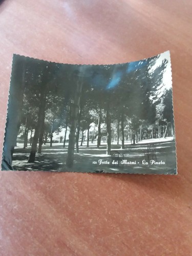 Cartolina forte dei marmi - forte,