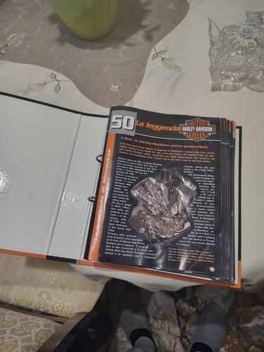 Raccoglitore 100 anni harley - anni,