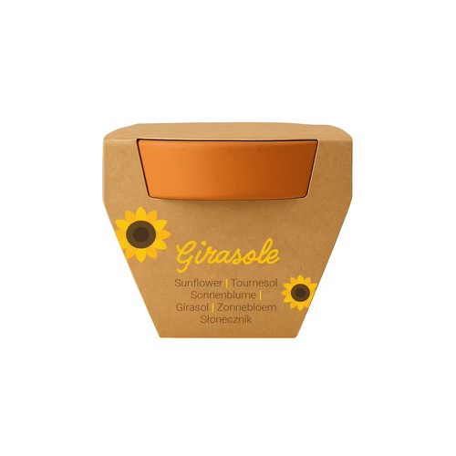 Vasetti terracotta con - 5,