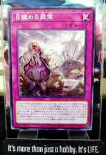 Sinful Spoils Awakening