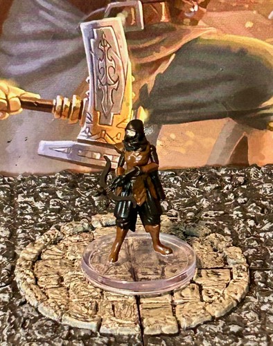 Assassin miniature - assassin, d&d