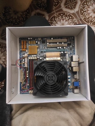 Scheda madre gigabyte - madre,