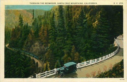 C1930 attraverso sequoie - c1930,