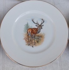 PIATTO PIANO CACCIAGIONE IMMAGINE CERVO CERAMICA BAVARIA DA SERVIZIO O DA PARETE