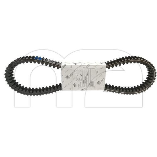 Cinghia trasmissione variatore - trasmissione,