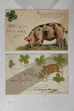 PIG MAIALE-LOTTO 2 CARTOLINE-C61-180