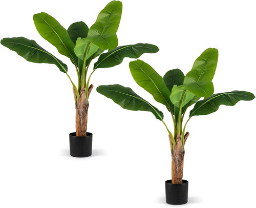 Set alberi di banane - 2,