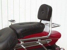 Missing 7458 Sissy Bar con