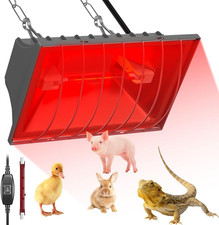 Lampada Pulcini Riscaldante