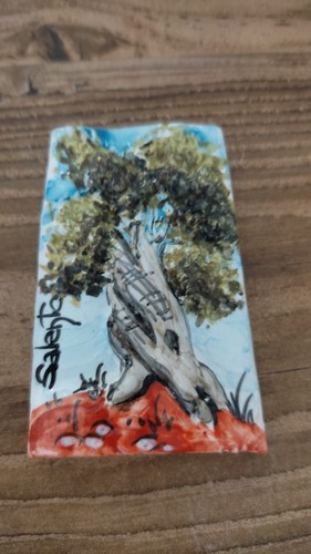 Calamite souvenir ceramica - calamite,
