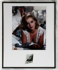 Espositore fotografico 16x20