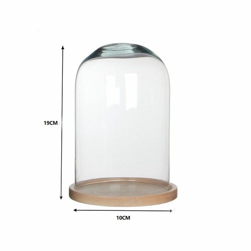 Teca cupola campana vetro - teca,