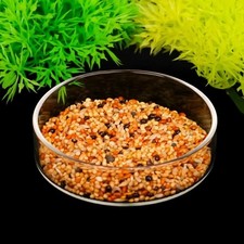 Mangiatoia per pesci