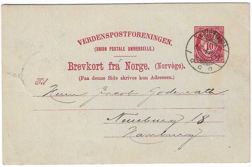 Norvegia 35 i aune - mi., i,