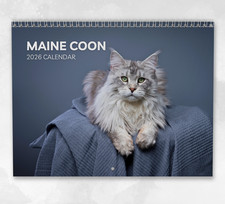 Calendario Maine Coon 2026