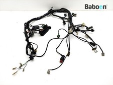 Cablaggio Cagiva V-Raptor 1000