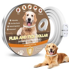 Collare Antipulci e Zecche per