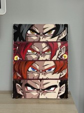 Dipinto Su Tela Dragon Ball
