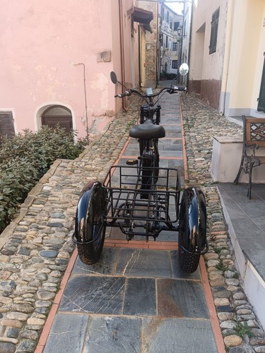 Triciclo elettrico carico - elettrico, da