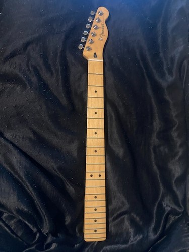 Fender telecaster player - fender,