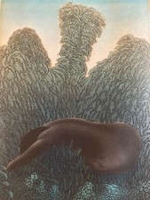 Incisione Litografia a Colori