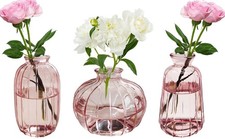 3pcs Vasi vetro decorativi