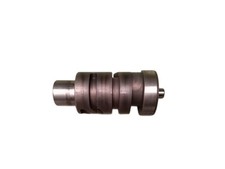 desmodromico selettore cambio