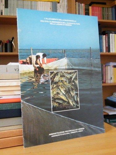 Allevamento della - l'allevamento,