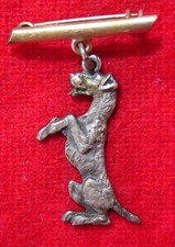 BELLA ED ELEGANTE SPILLA GIACCA CANE CUCCIOLO PET ANIMALE COMPAGNIA BIGIOTTERIA