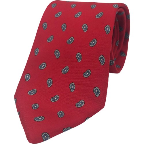 Cravatta paisley biltwell - cravatta,