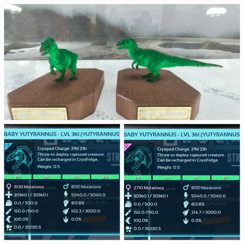 Ark ascended pve coppia - pve,