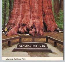 General Sherman Tree, Sequoia