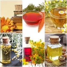 OLIO OLEOLITO Vegetale Di