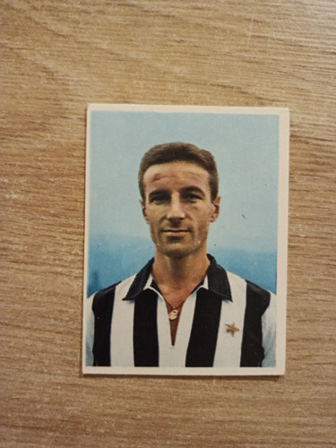 1966 imperia calciatori - 1966-67,