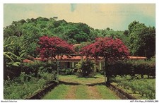 ASTP16-1105-GUADELOUPE -